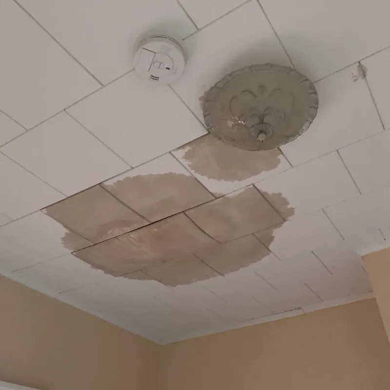 Ceiling Water Damage Repair in Shoreview, MN