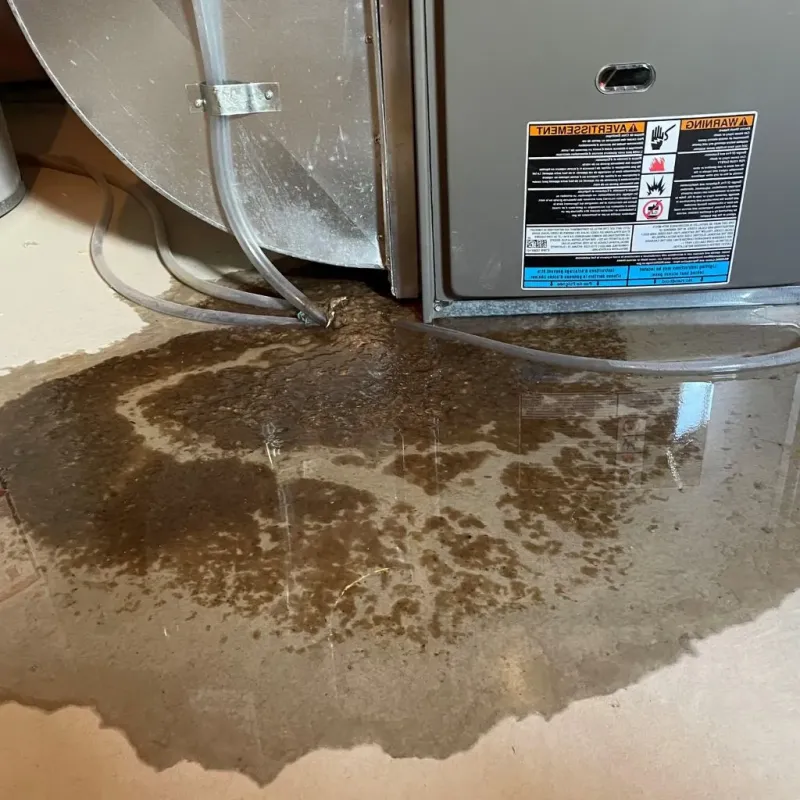 Pipe Burst and Leak Restoration in Shoreview, MN